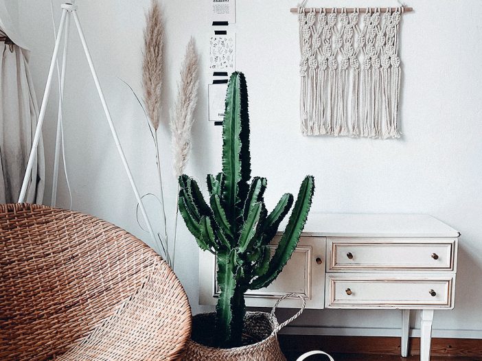 Cómo hacer renders de arquitectura para proyectos de edificios sostenibles y amigables con el medio ambiente