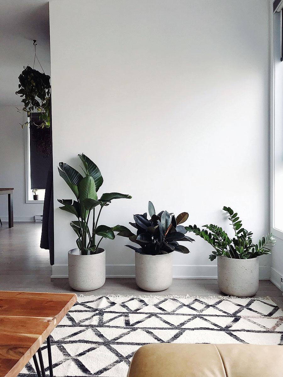 Ideas para integrar muebles antiguos en tu decoración moderna