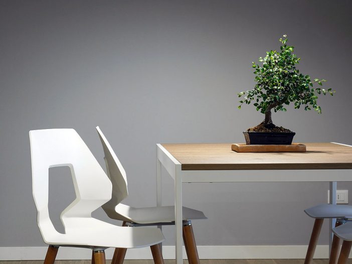 Utilizar los renders de arquitectura para mostrar proyectos de espacios deportivos y recreativos.